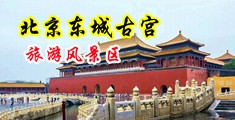欧美大屌性感风骚中国北京-东城古宫旅游风景区
